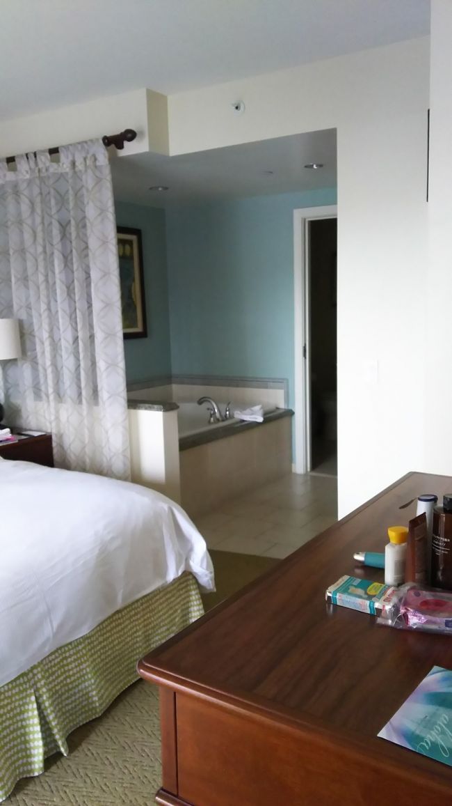 ベッドのすぐ脇に大きなバスタブ…。