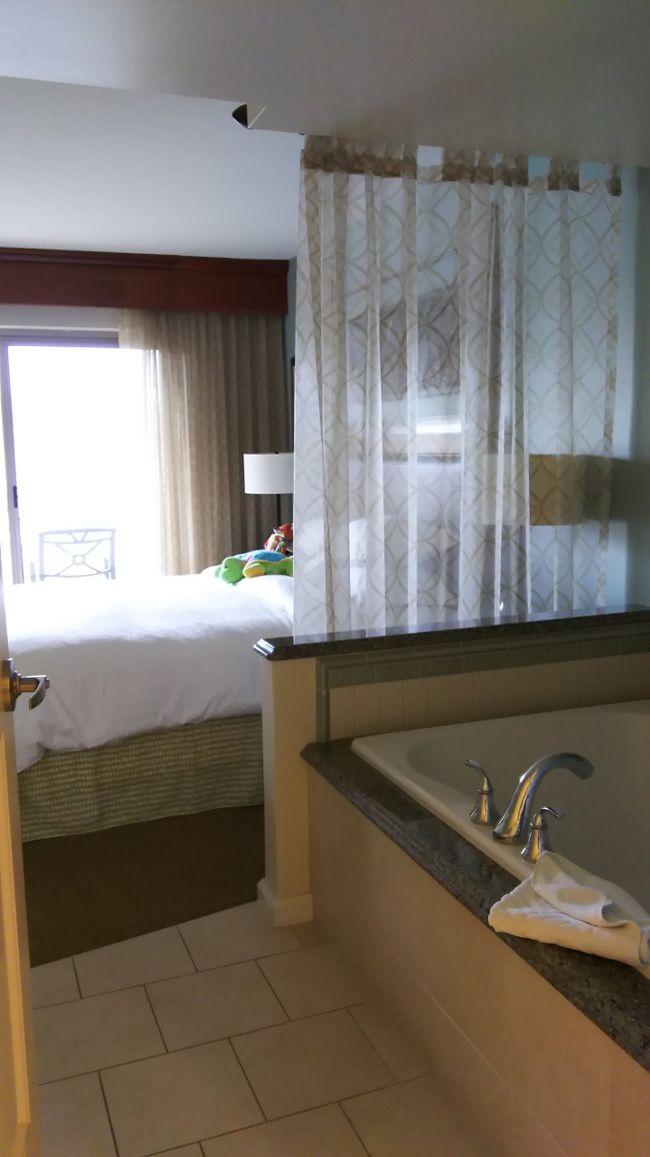 洗面所から見た部屋。<br /><br />バスタブからすぐにベッド。ね、変でしょ。