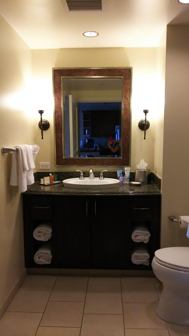 洗面所<br /><br />経年劣化が見られる…。