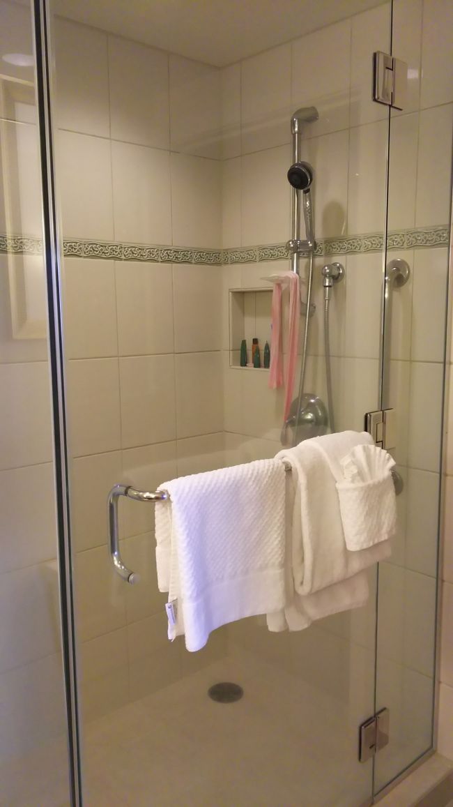 シャワー  水圧は抜群！