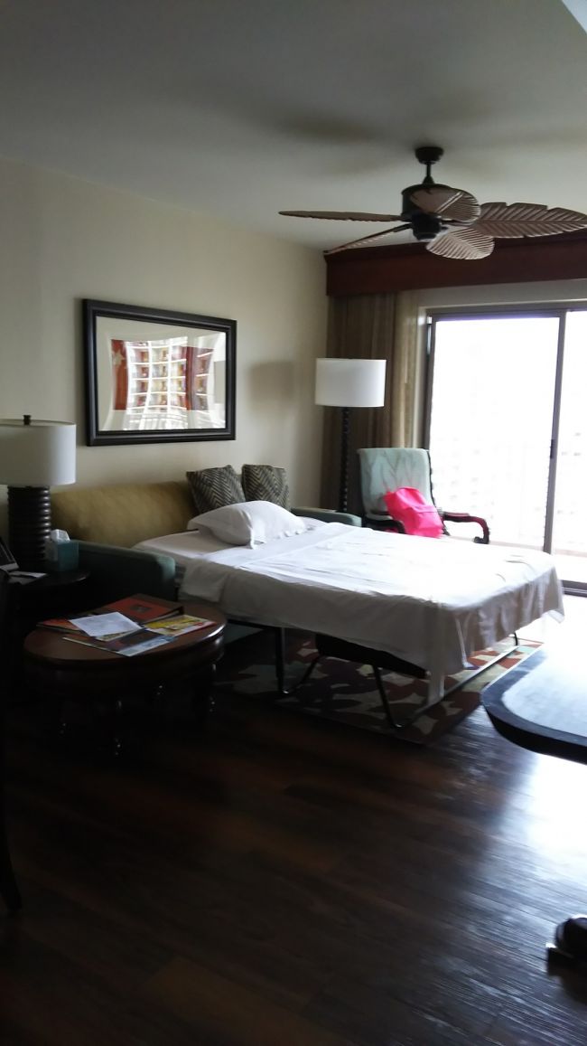 リビング <br /><br />ソファベッドを広げています。<br />ベッドのまま出掛けたので、<br />ベッドメイクされて、そのままになって<br />います。<br />ソファのままなら、そのままです。<br />いちいちベッドにするのが面倒なので、<br />ベッドにしたら滞在中ずっとこのままです。<br />部屋も特に狭いとは感じません。<br />誰も来ないしね。<br /><br />今年は3人でこのソファベッドを取り合い！<br />ベッドに誰も寝たがらない。<br />今年は何故か柔らか過ぎて合わなかった。