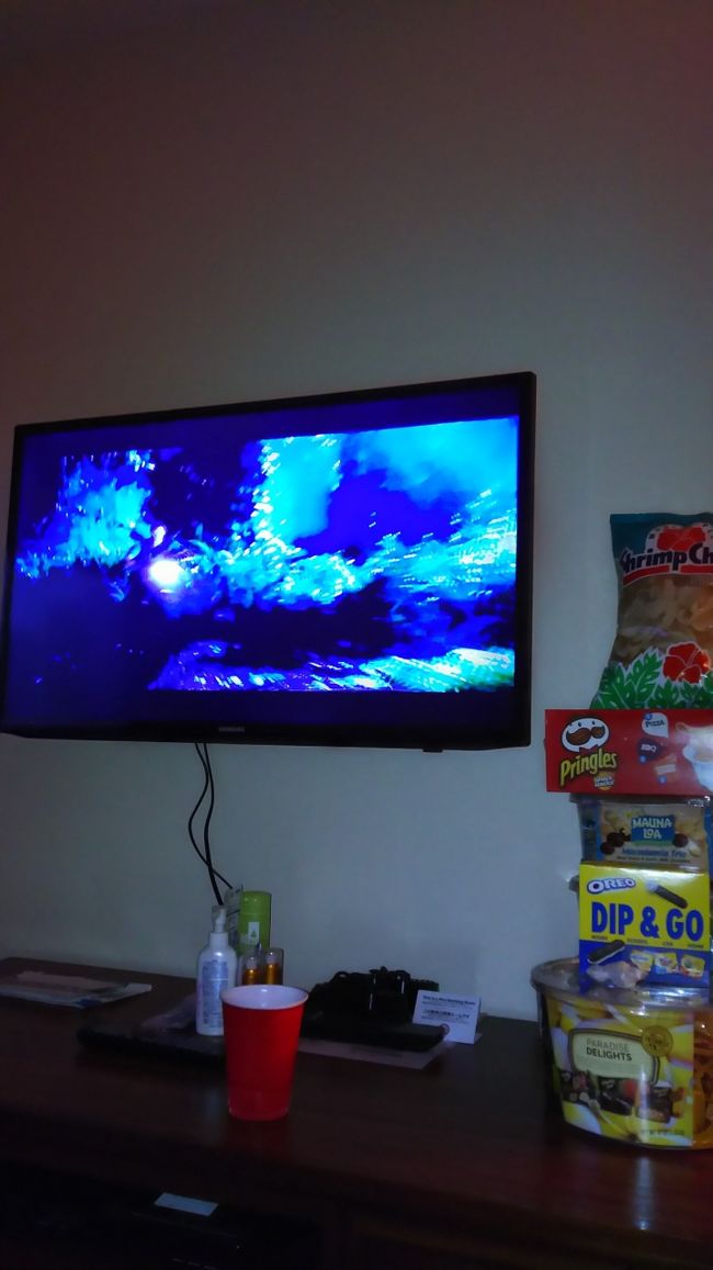 部屋でジュラシックワールドを観ました。<br /><br />映画館でも観たやつだったので、<br />なんと無く思い出しながら観ましたけど…。<br />やっぱり字幕は欲しい。日本語の。<br /><br />