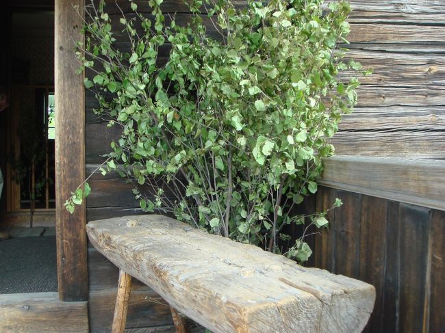 夏至祭の頃になるとこんな風に白樺の木が入り口に立てかけてあります。