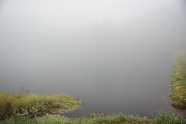 夏休み最後の土日の早朝、旅人隊長さんの高級SUV車の助手席に乗せていただき、長野へ向かいます。<br />渋滞にハマりながらやっとの事で第一の目的地、御射鹿池（みしゃかいけ）に到着です。<br />さて、東山 魁夷（ひがしやま かいい）が御射鹿池をモデルに描いた有名な絵画、「緑響く」の景色を肉眼で見られるのか…？<br />と期待を胸に到着した瞬間の御射鹿池(-.-)