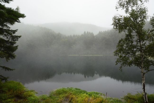 少し待つと見えてきました。<br />さて、白馬はいるか？<br />いるわけないですね。
