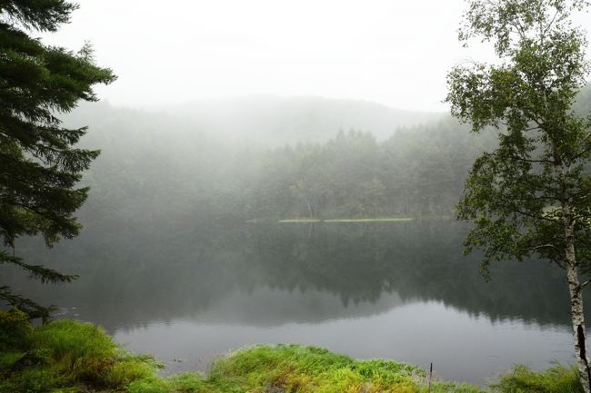 いい感じになってきましたね。