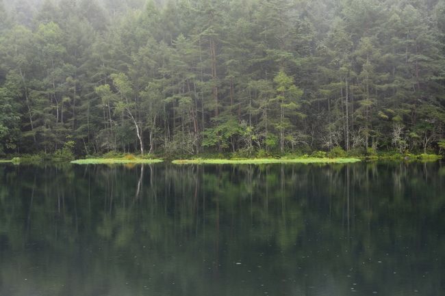 完全に見えました！