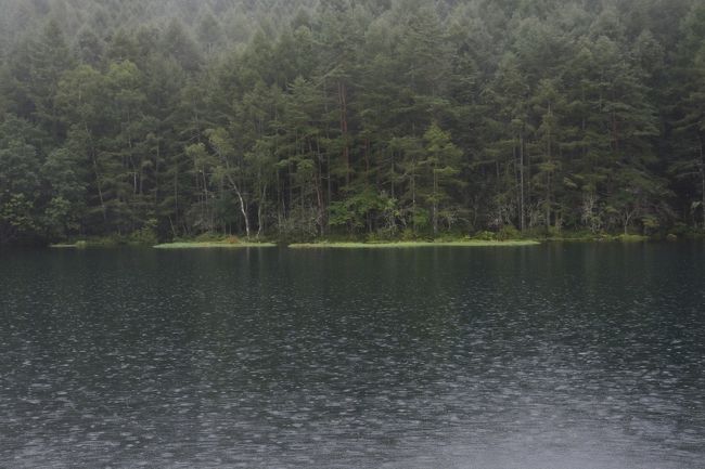 と思いきや、雨が降ってきました。