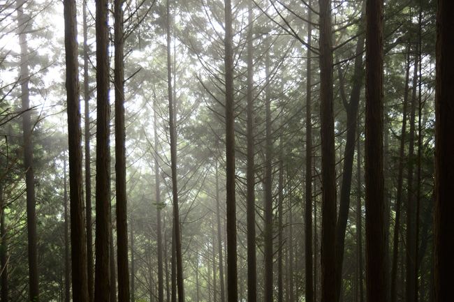 マイナスイオンを浴びながら…