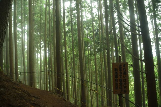 看板に書いてある通り、すれ違う時はどちらかが止まらないと危険です。