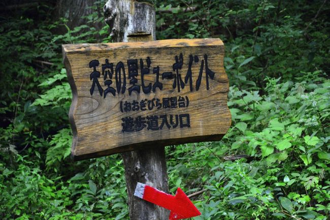 高まる気持ちを抑えながら我等旅行部一行はビューポイントへ向かいます。