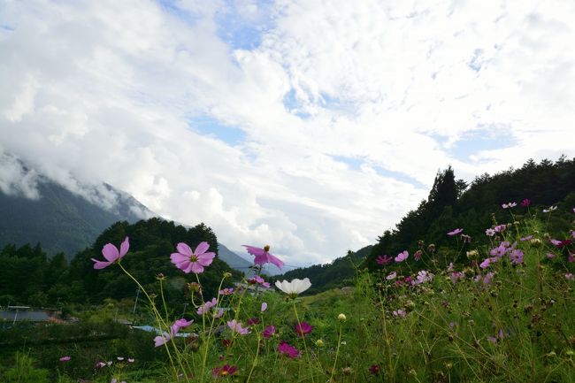 頭の中はもちろんあの曲が…