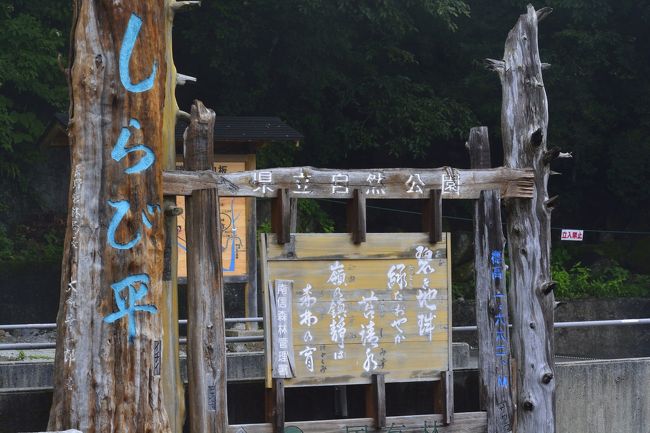 バスの終点、しらび平に到着。