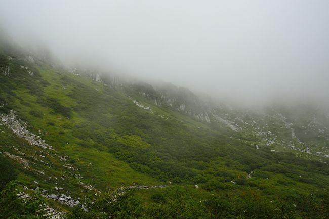 やはりこの霧。