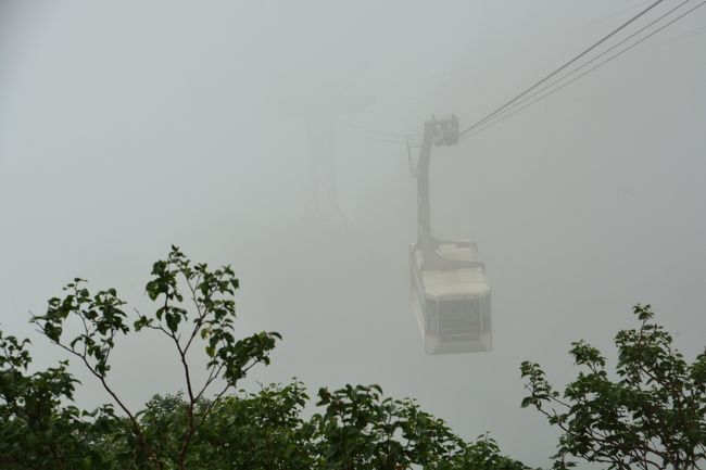 霧の中から突然現れます。