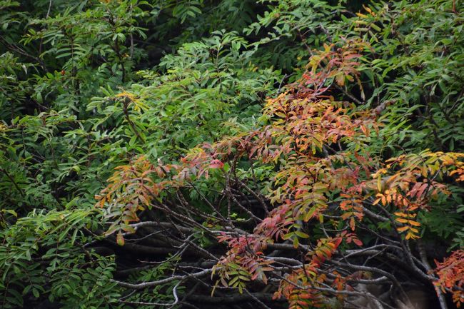 少しずつ秋色に染まっています。<br />晴れた紅葉の時期に来たらきっと素晴らしいのでしょう。