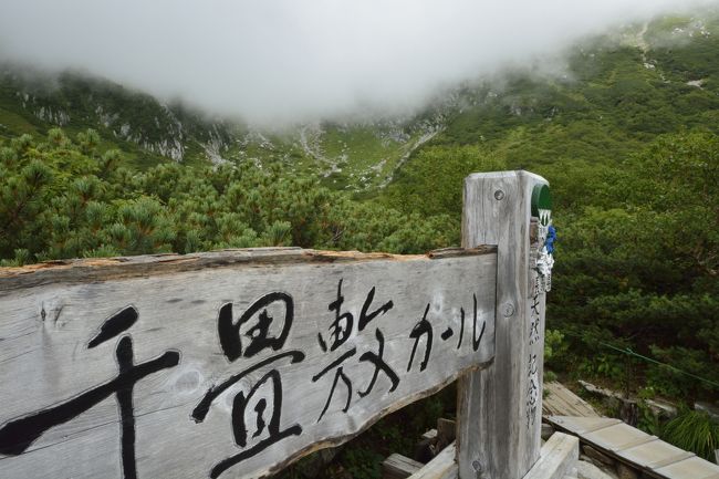 仕方なく看板メインで。