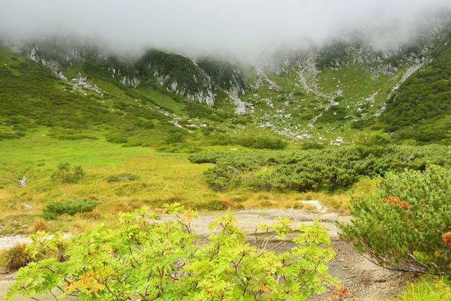 霧で見えないのならそこに行けばいいと思いまして…