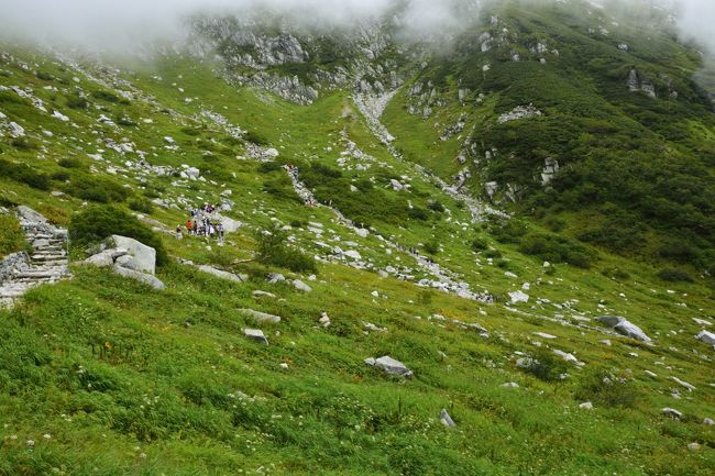 頑張って歩いてますね〜。