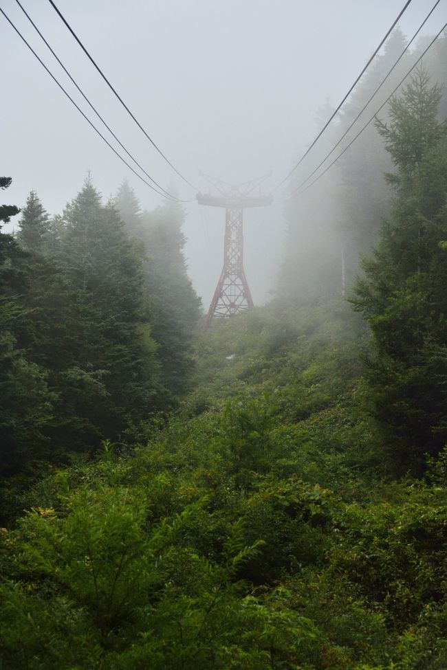 残念ながらこの天気。<br />全く見えません…。<br />上はきっと晴れている！と信じてロープウェーに乗り込みます。