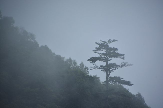 山の上のほうに寂しそうに佇んでいたので捉えてあげます。