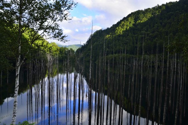 長野県木曽郡王滝村滝越、3067mの独立峰 御嶽山 の懐、木曽ひのきにかこまれた王滝川の上流部にあります。<br />1984年9月14日　長野県西部地震で御嶽山の山体崩壊から引き起こされた土石流が王滝川に流れ込み、せき止められ、深い谷間の森が沈み天然湖が形成されたらしいです。