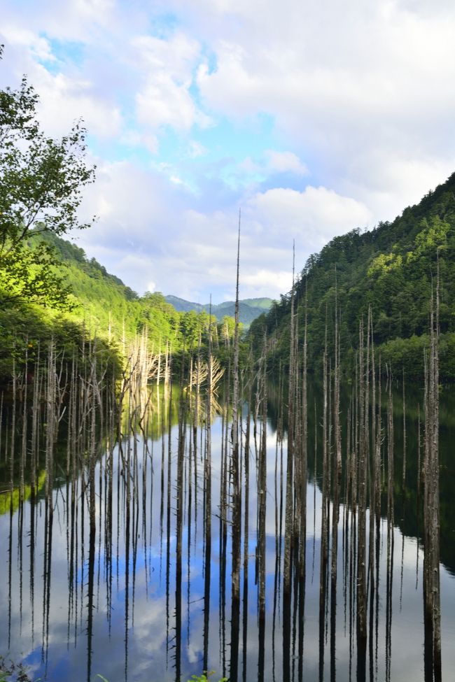 この非日常な景色の虜になります。