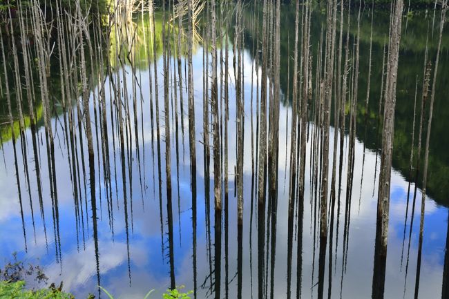 この映り込み、ハンパじゃないです。
