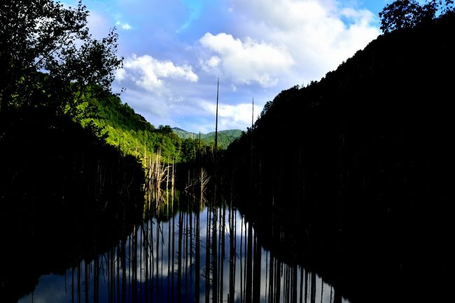 スポットライト。