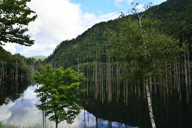 多くの写真家が訪れるのがよくわかります。