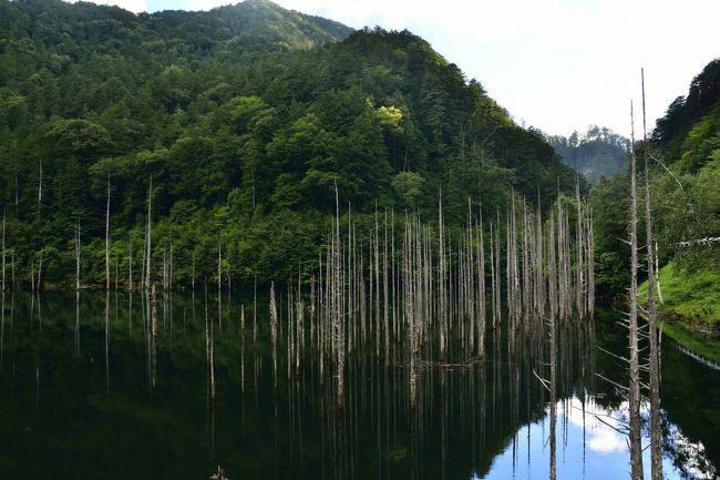 寒々しい色のほうが似合う？