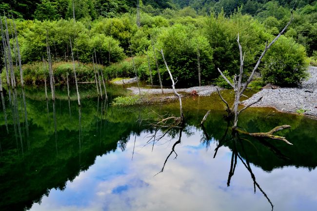 無風なので湖面がビタってしてます。
