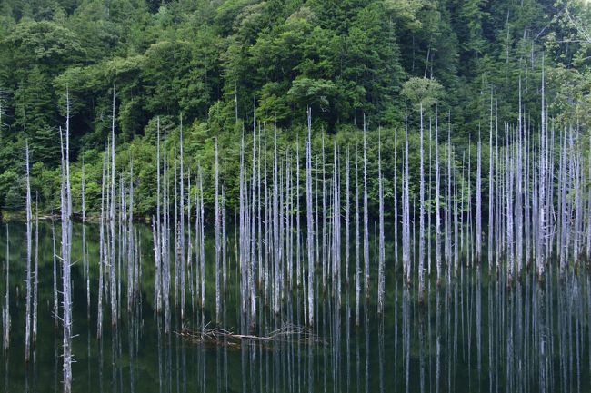 太陽が沈みかけるとまた違う顔になります。