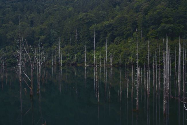 必死にシャッタを切ります。<br />もう１枚…<br />もう１枚…<br /><br />一体何枚撮るんだ？