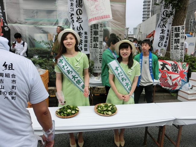 カボス娘も来ている