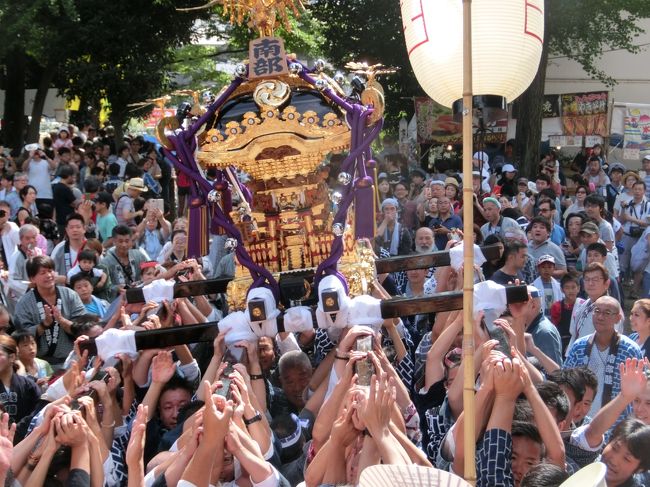 真正面から写真が撮れます