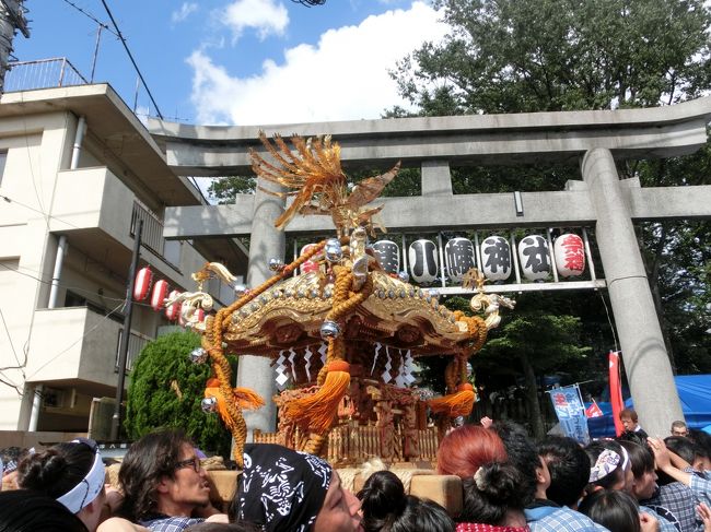 続々とやってきます