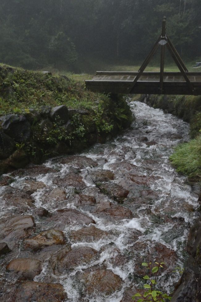 仕方ないのでこんな写真を撮ってみますが…