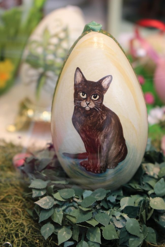 ねこたまご発見♪<br /><br />可愛い〜☆