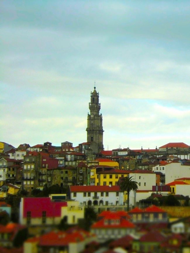 明るくなってきた。