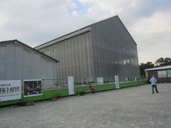 興福寺。近鉄を乗り継いで、奈良中央部に戻ります。興福寺と東大寺、と思ったのですが、興福寺のみ。ここも改修中です。