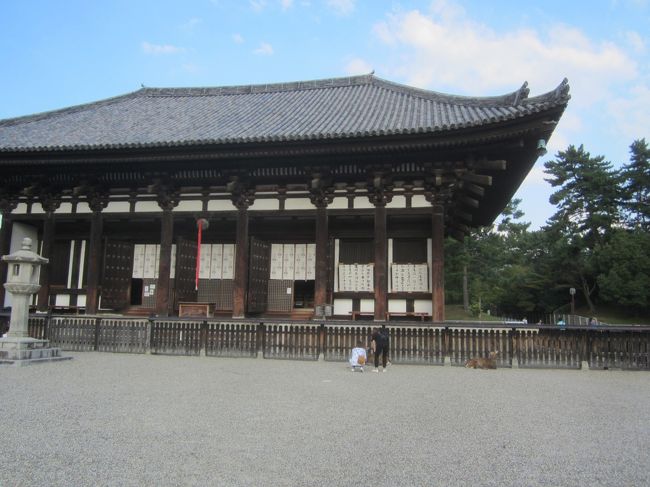 興福寺。大きいのですがあっさりしてます。法隆寺との違いが難しかったのですが、ここに来て、やっとわかりました。