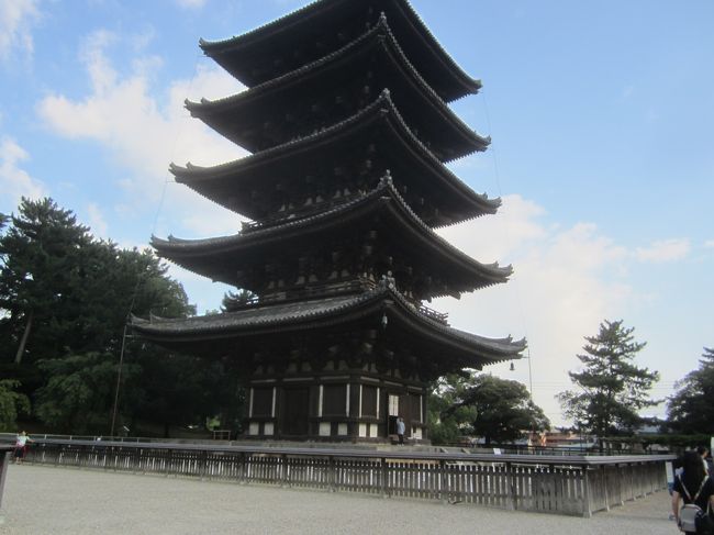 興福寺の五重塔。こっちは法隆寺に比べて、すごく大きい。