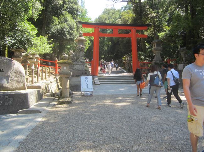 再び、奈良公園へ向かって歩きます。明け方は雨が少し降ってたのですが、暑くなりました。