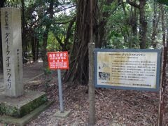 集落を通り抜けて、今度はダイトウオオコウモリがいるという、大東神社へやって来ました。コウモリだから見つけるのは簡単ではないと思いますが…