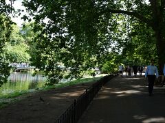 バッキンガム宮殿からウェストミンスター寺院まで歩きます。
途中にセントジェームズパークがあったのでその中を通って行きました。
都会のど真ん中にありながら緑豊かで広大な公園です。
東京で言うところの代々木公園、ニューヨークで言うところのセントラルパークといったところでしょうか。
天気もいいので気持ちがいいです。
というか、ロンドン暑いです。もっと涼しいものかと思って半そではあまり持ってこなかったのですが。