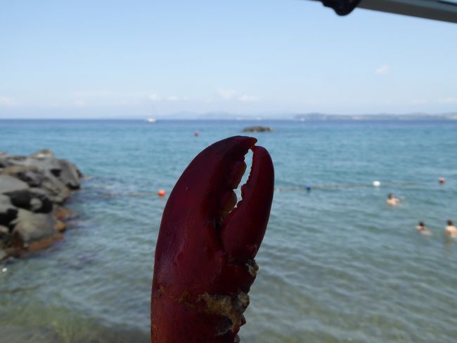 「Alberto」の優雅なランチ♪