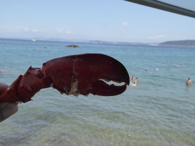 「Alberto」の優雅なランチ♪