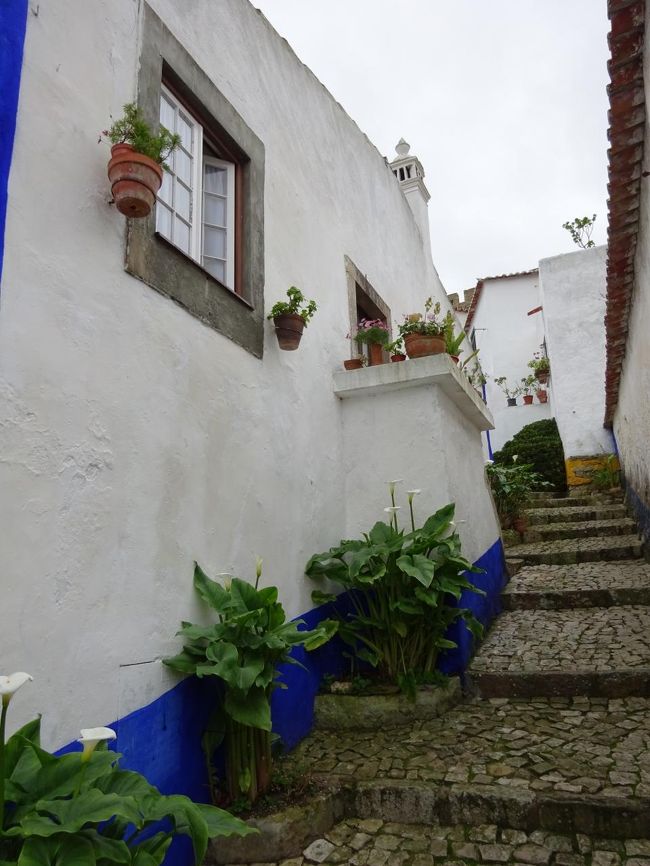 迷路のような街並みを家々が植物を飾って守っています（春なら花が咲いているんでしょうね）