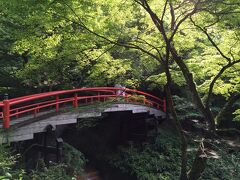 伊香保神社から更に奥へ進み、河鹿橋へ。
紅葉で有名な場所ですが、この季節も悪くないです。
というかめちゃめちゃイイ写真が取れました！！